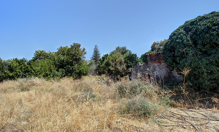 UNCONVERTED GROUND-LEVEL ON A SPACIOUS PLOT