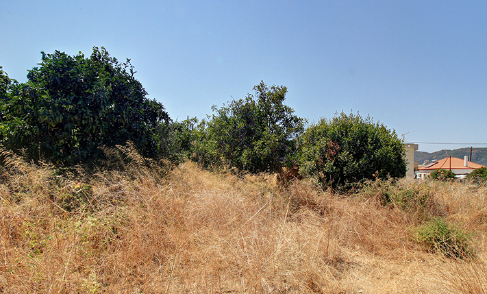 UNCONVERTED GROUND-LEVEL ON A SPACIOUS PLOT