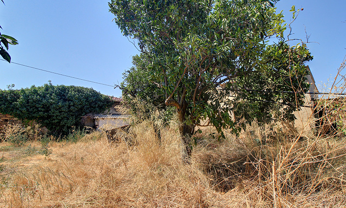 UNCONVERTED GROUND-LEVEL ON A SPACIOUS PLOT