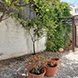 PHS2481 - image 30 PHS2481 - image 30