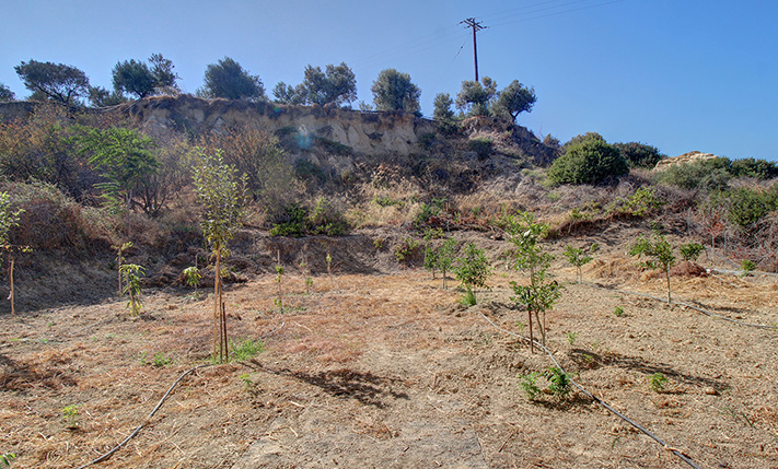 EXCELLENT FUNCTIONALITY & LUXURIOUS SPACES