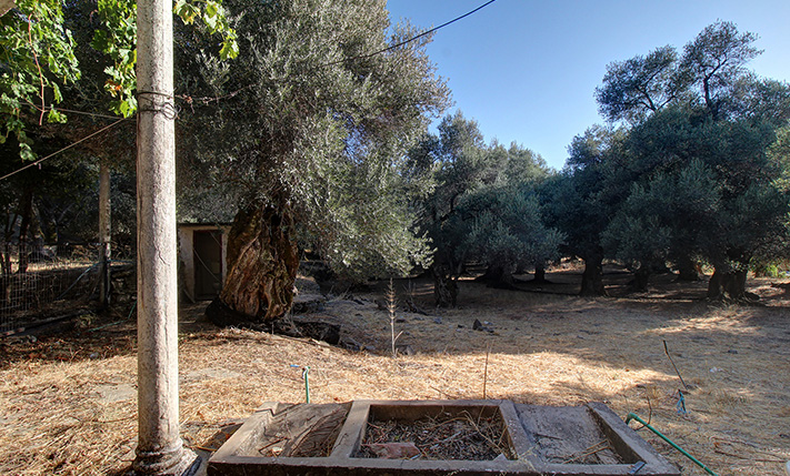 RESTORED TRADITIONAL HOUSE NEAR KANDANOS