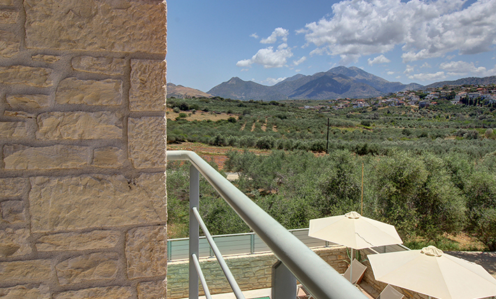 ΔΥΟ ΠΟΛΥΤΕΛΕΙΣ ΟΙΚΙΕΣ ΣΕ ΠΑΡΑΔΟΣΙΑΚΕΣ ΓΡΑΜΜΕΣ