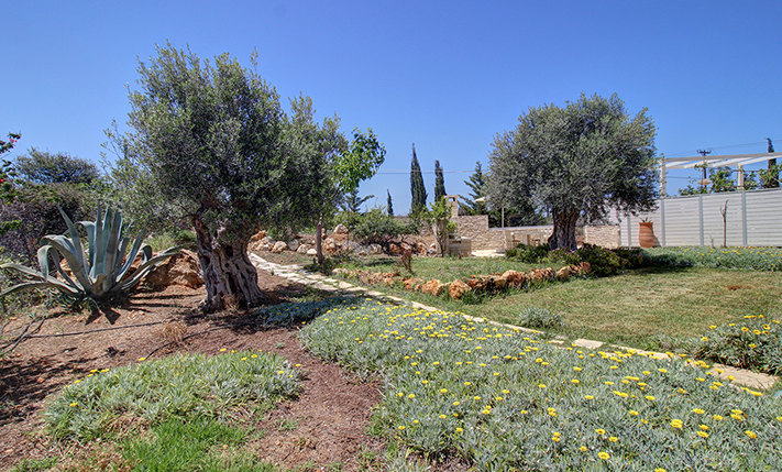 2-UNIT COMPLEX OF TRADITIONAL-STYLE VILLAS