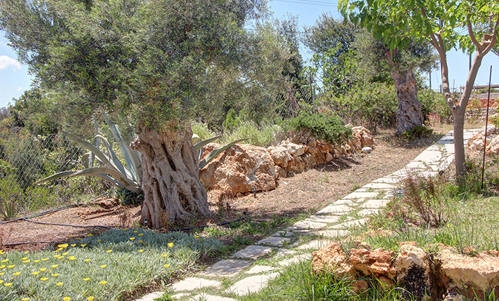 2-UNIT COMPLEX OF TRADITIONAL-STYLE VILLAS