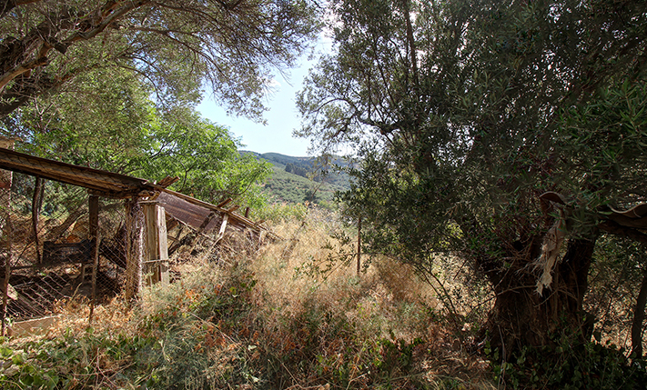 BUILDING FOR RESTORATION ON A GOOD-SIZE PLOT