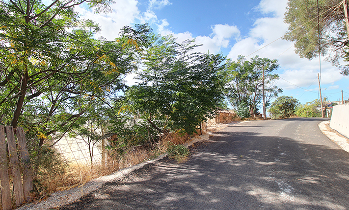 BUILDING FOR RESTORATION ON A GOOD-SIZE PLOT