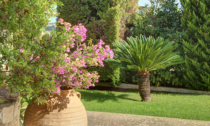 A QUALITY FAMILY HOUSE WITH GARDEN & VIEWS