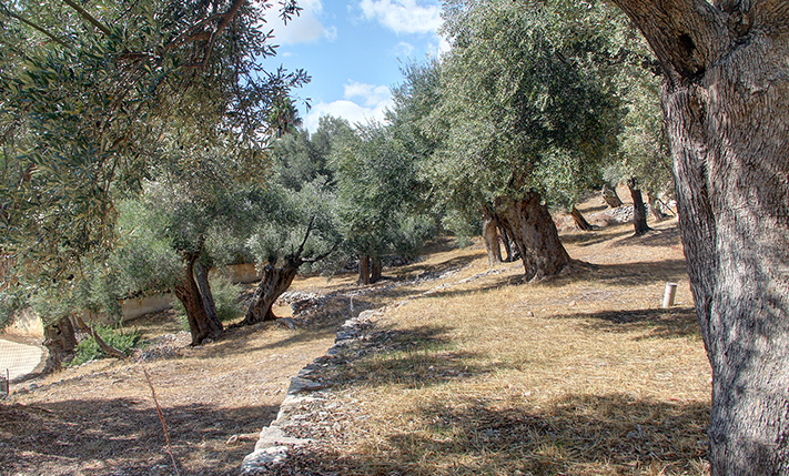 NESTLED IN A LUSH GORGE THAT MEETS THE SEA