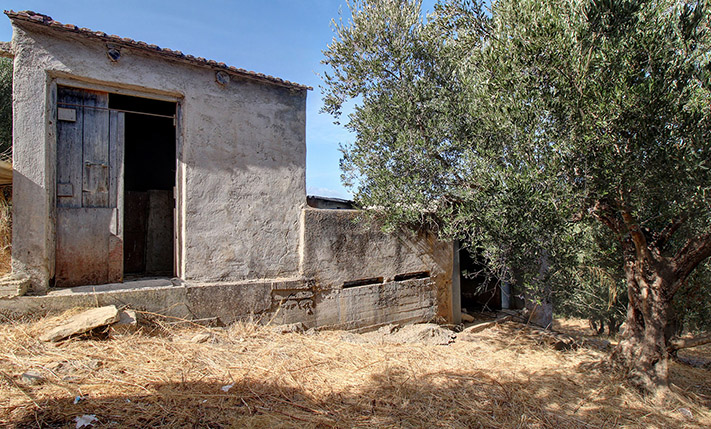 SINGLE-LEVEL BUILDING ON A HILL IN AN OLIVE GROVE