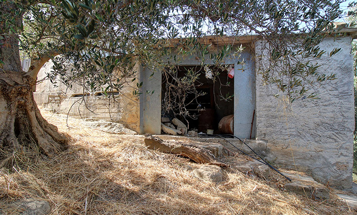 SINGLE-LEVEL BUILDING ON A HILL IN AN OLIVE GROVE