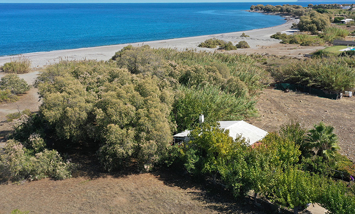 A BEACHFRONT COTTAGE HIDDEN AMONG THE TREES