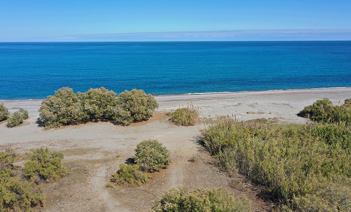 A BEACHFRONT COTTAGE HIDDEN AMONG THE TREES