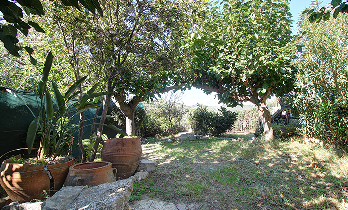 TRADITIONAL VILLAGE HOUSE WITH A GARDEN