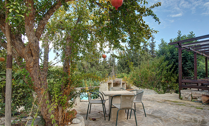 A HOUSE IN THE FOREST CLOSE TO ALMYRIDA