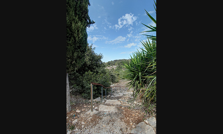 ΕΝΑ ΣΠΙΤΙ ΣΤΟ ΔΑΣΟΣ, ΚΟΝΤΑ ΣΤΗΝ ΑΛΜΥΡΙΔΑ