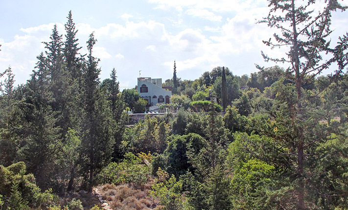 A HOUSE IN THE FOREST CLOSE TO ALMYRIDA