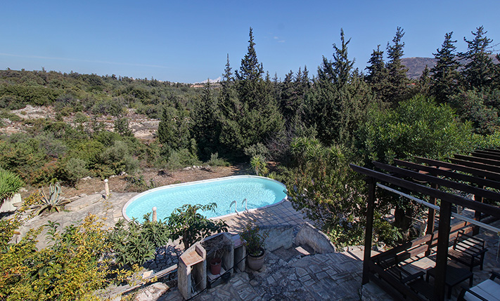 ΕΝΑ ΣΠΙΤΙ ΣΤΟ ΔΑΣΟΣ, ΚΟΝΤΑ ΣΤΗΝ ΑΛΜΥΡΙΔΑ