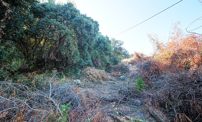 UNCONVERTED BUT ELEGANT, WITH EXTRA BUILDABILITY