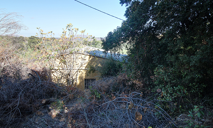 UNCONVERTED BUT ELEGANT, WITH EXTRA BUILDABILITY