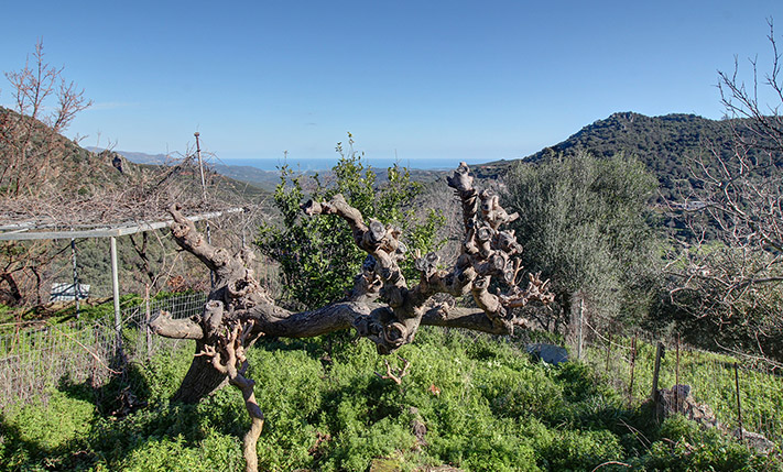 RESTORED HOUSE WITH IMPOSING VIEWS