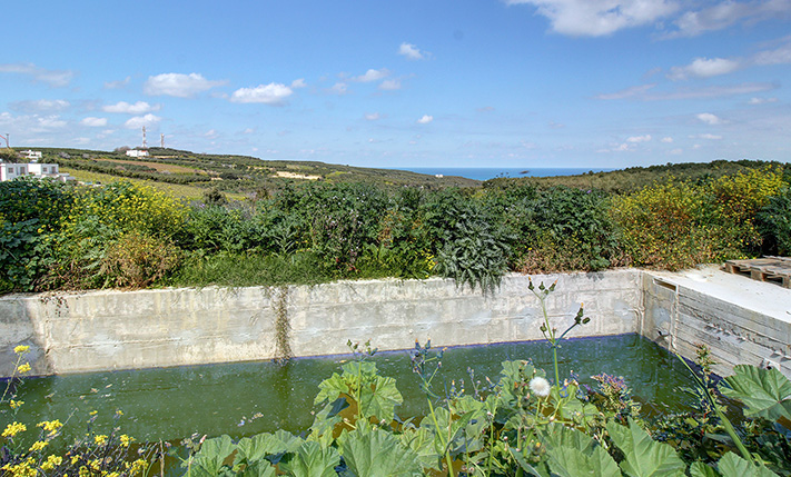 SUN, SEA, AND OLIVES IN 2 LEVELS OF TRANQUIL POTENTIAL