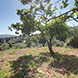 PHS2516 - image 21 PHS2516 - image 21