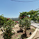 PHS2544 - image 27 PHS2544 - image 27