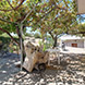 PHS2559 - image 35 PHS2559 - image 35