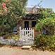 PHS2568 - image 3 PHS2568 - image 3