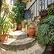 PHS2572 - image 35 PHS2572 - image 35