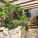 PHS2572 - image 43 PHS2572 - image 43