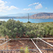 PHS2582 - image 31 PHS2582 - image 31