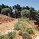 PHS2586 - image 30 PHS2586 - image 30