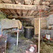PHS2589 - image 31