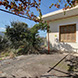 PHS2595 - image 23 PHS2595 - image 23