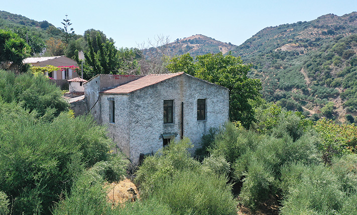 HOUSE WITH OLIVE TREES IN A TINY NEIGHBORHOOD