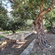 PHS2612 - image 63