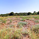 PLS0057 - image 5 PLS0057 - image 5