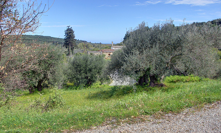 ΜΕ ΔΥΟ ΑΠΕΝΑΝΤΙ ΠΡΟΣΟΨΕΙΣ ΣΕ ΑΣΦΑΛΤΟ