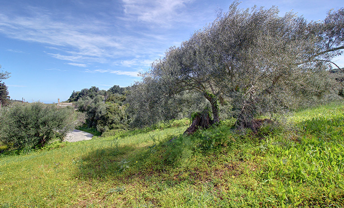 LAND FACING TWO OPOSITE ASPHALT ROADS