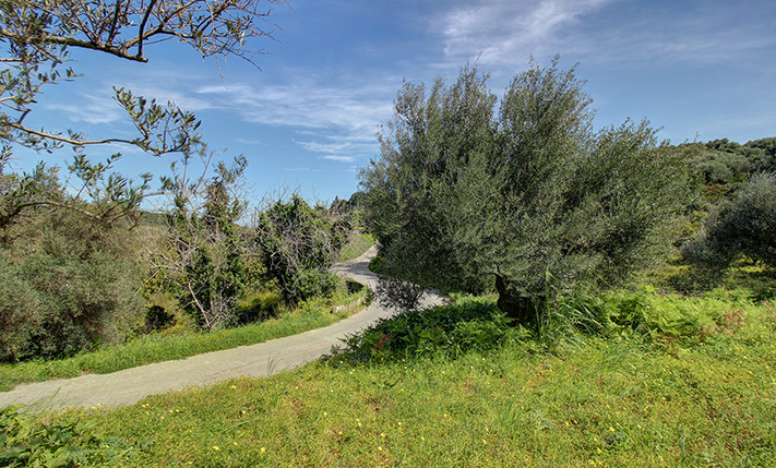 ΜΕ ΔΥΟ ΑΠΕΝΑΝΤΙ ΠΡΟΣΟΨΕΙΣ ΣΕ ΑΣΦΑΛΤΟ