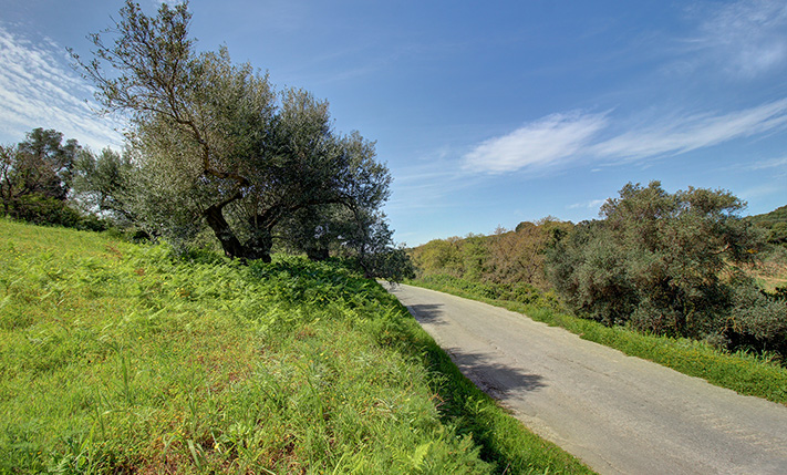 ΜΕ ΔΥΟ ΑΠΕΝΑΝΤΙ ΠΡΟΣΟΨΕΙΣ ΣΕ ΑΣΦΑΛΤΟ
