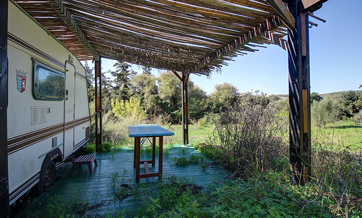 LAND WITH VARIOUS TREES IN TRANQUIL LOCATION