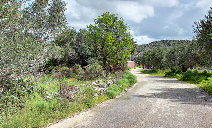 CORNER PLOT WITH AN OLIVE GROVE