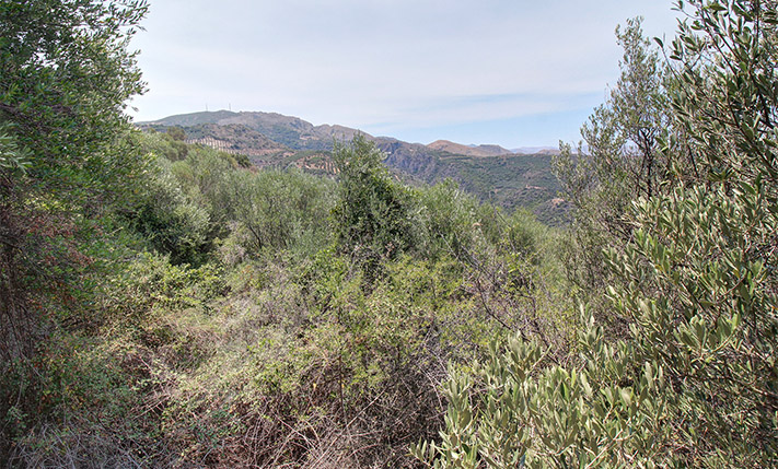 NORTHWEST-FACING PARCEL WITH PANORAMIC VIEWS