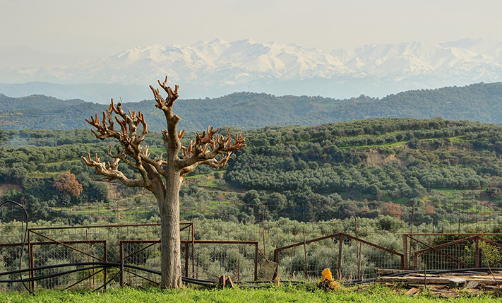 ΣΕ ΠΑΝΕΜΟΡΦΗ ΤΟΠΟΘΕΣΙΑ ΜΕ ΥΠΕΡΟΧΗ ΘΕΑ