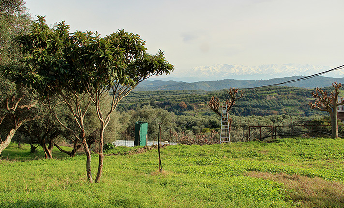 PLOT IN BEAUTIFUL LOCATION, GREAT VIEWS