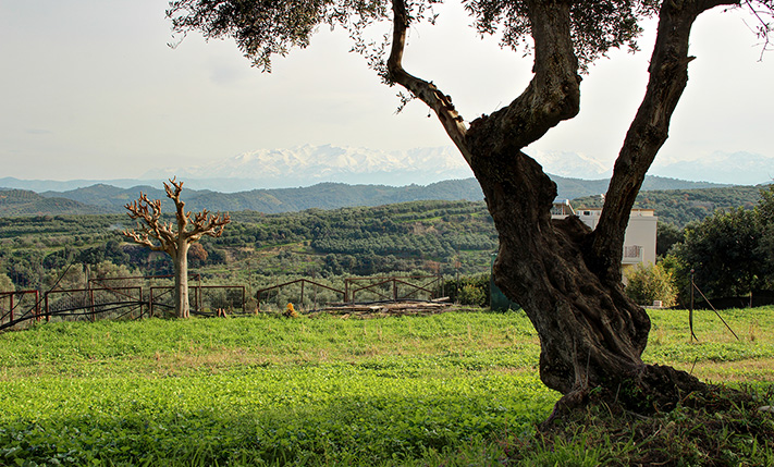 PLOT IN BEAUTIFUL LOCATION, GREAT VIEWS