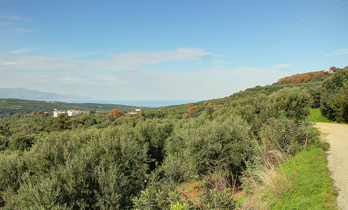 ΠΑΝΟΡΑΜΙΚΟ ΟΙΚΟΠΕΔΟ ΣΕ ΗΣΥΧΟ ΟΙΚΙΣΜΟ